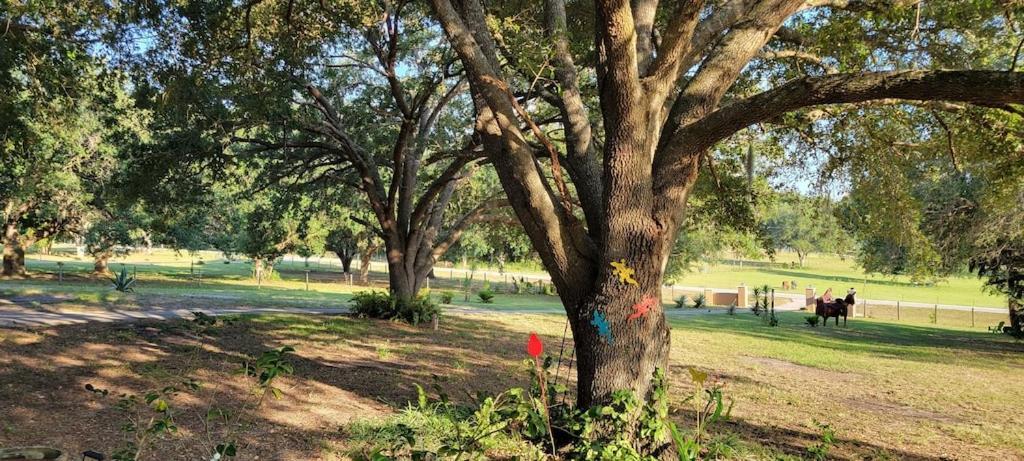 Charming Country Retreat Home クレルモン エクステリア 写真